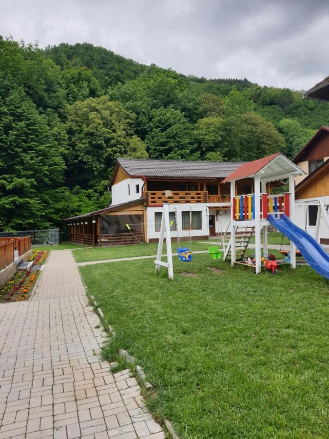 Pensiunea Casa David Şugag 외부 사진