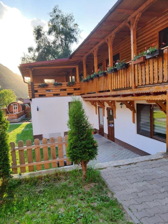 Pensiunea Casa David Şugag 외부 사진