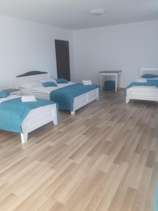 Pensiunea Casa David Şugag 외부 사진
