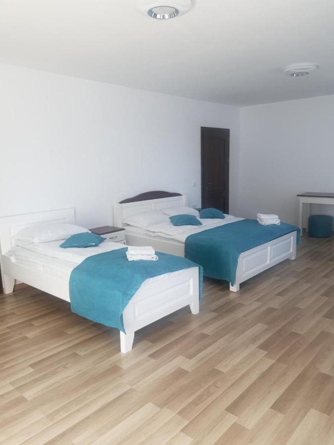 Pensiunea Casa David Şugag 외부 사진